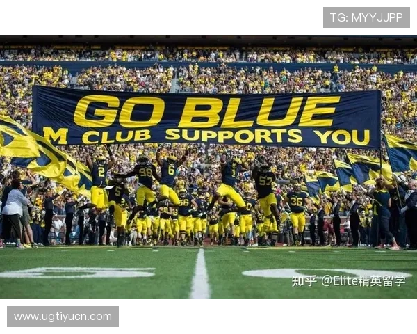 U体育官网下载入口正式开启，助力体育爱好者轻松获取最新赛事资讯